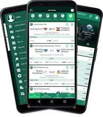 Discover the Future of Betting with Betwinner Mobile 1