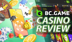 Discover the Thrills of Bc Fun Login