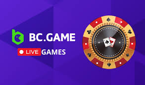 Discover the Thrills of Bc Fun Login